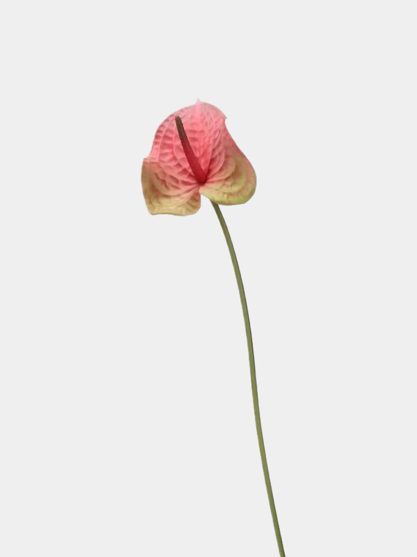 Artificial Anthurium Stem  –Pink 26"