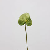 人工アンスリウムステム – 薄緑 22.8"