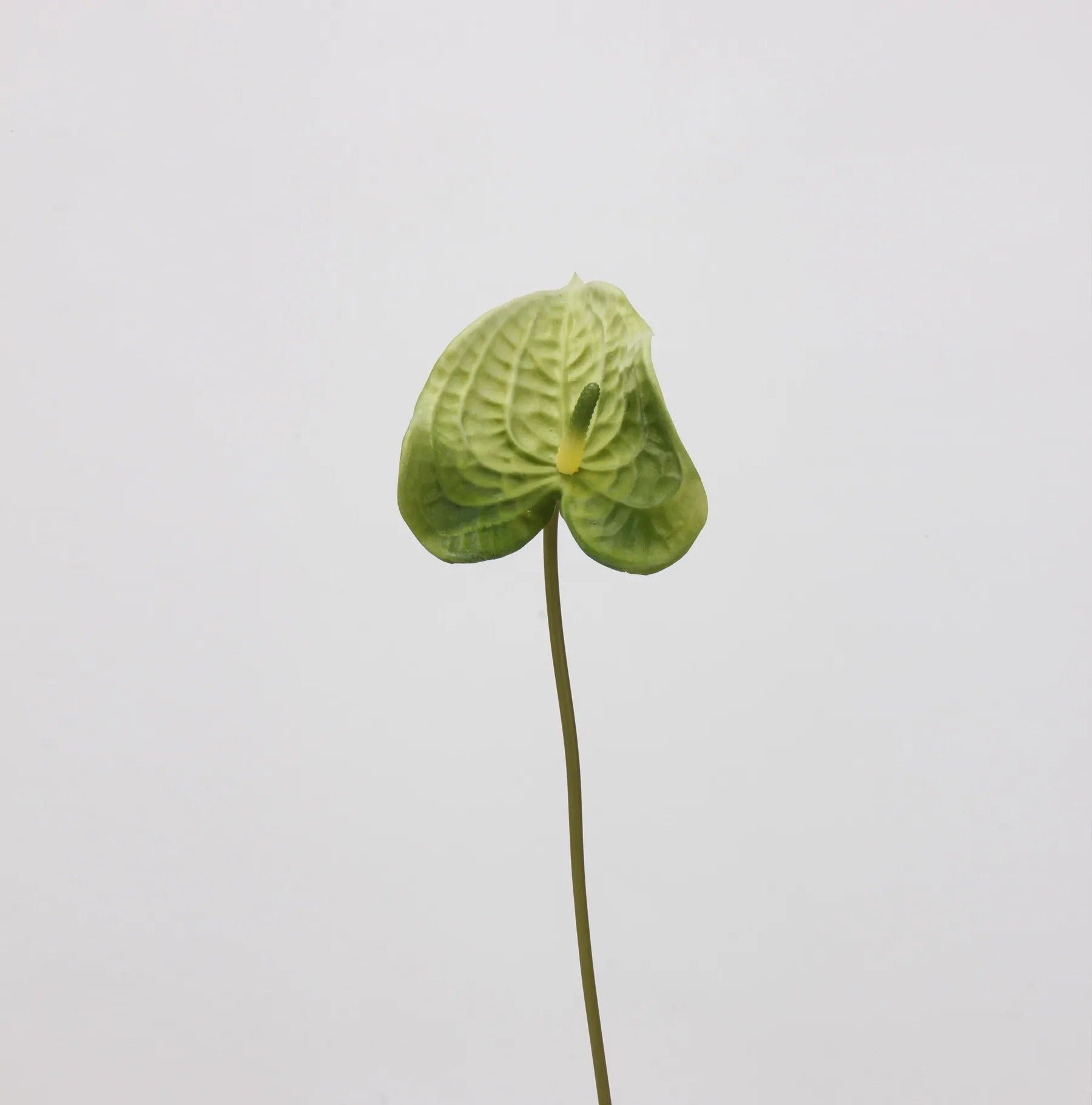 Artificial Anthurium Stem  –Pale Green 22.8"