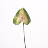 人工アンスリウムステム - グリーン