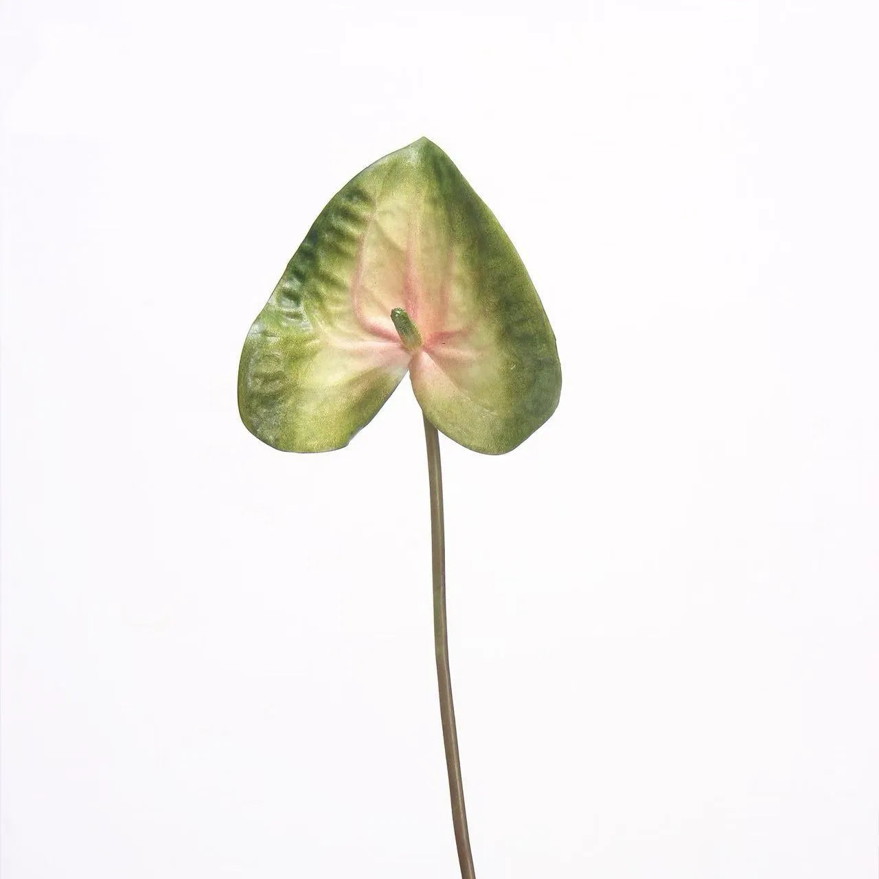 Artificial Anthurium Stem  -Green