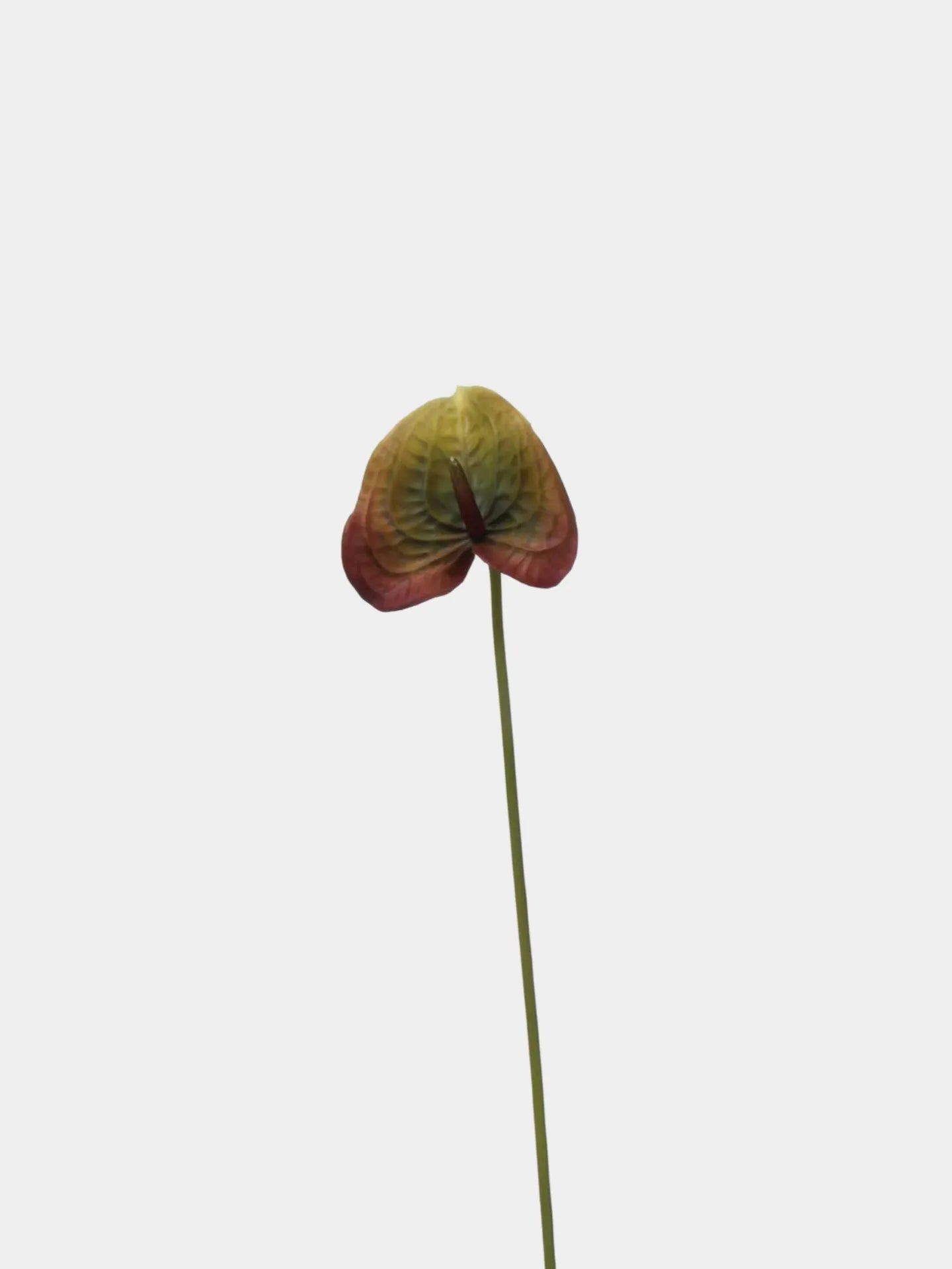 Artificial Anthurium Stem  –Brown 22.8"