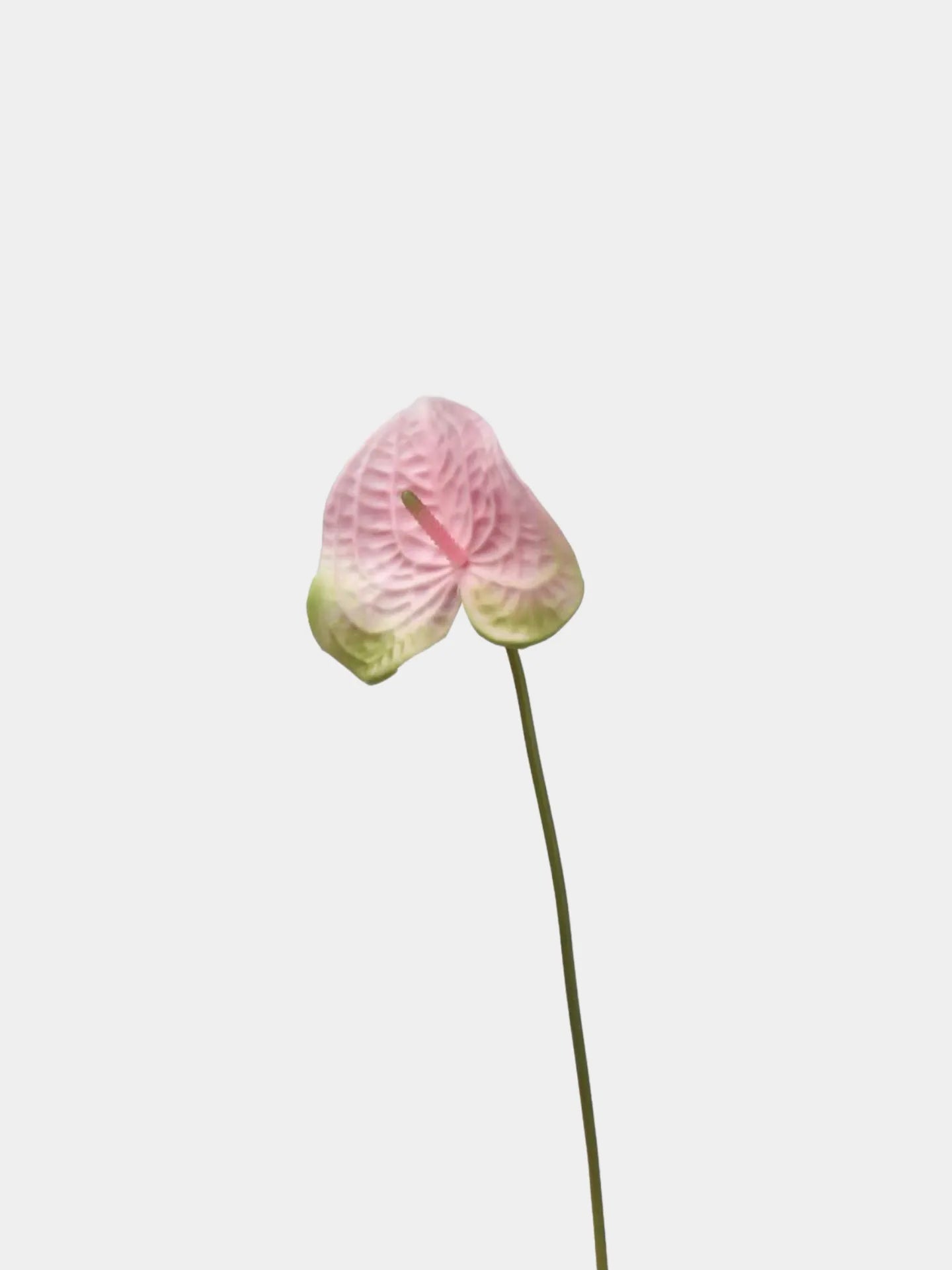Artificial Anthurium Stem  –Pink 22.8"