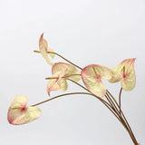 人工アンスリウムステム