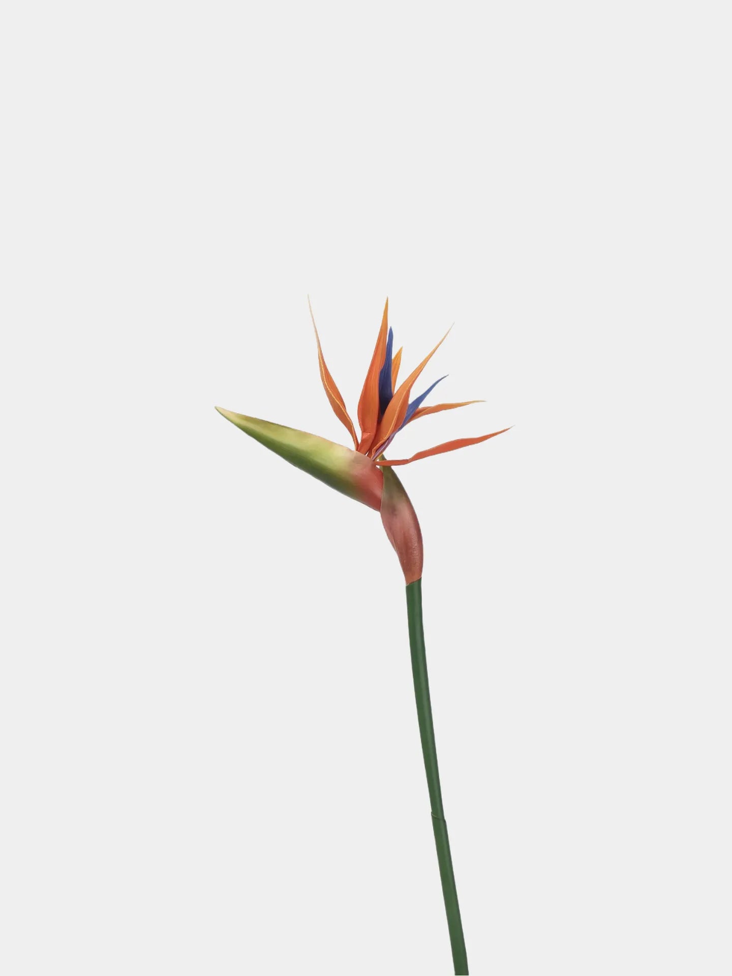 Artificial Bird of Paradise
