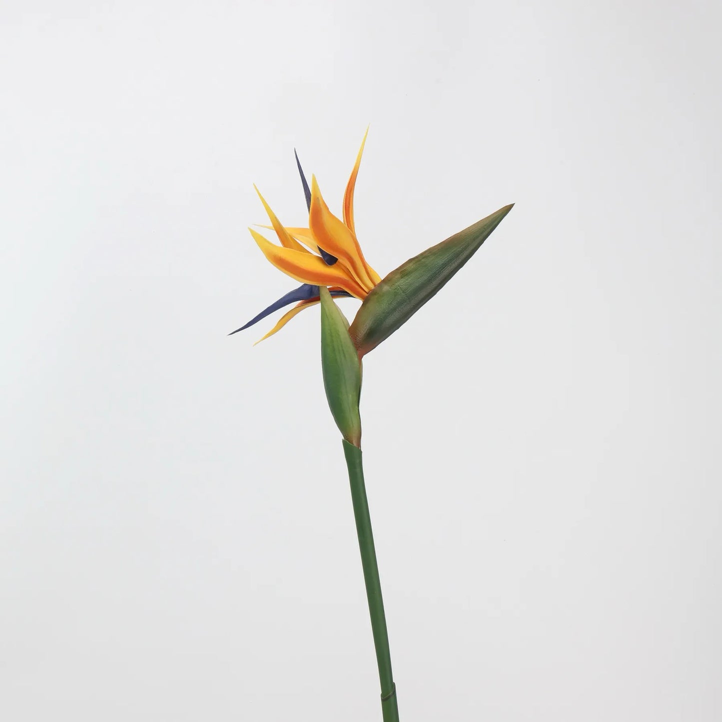Artificial Bird of Paradise