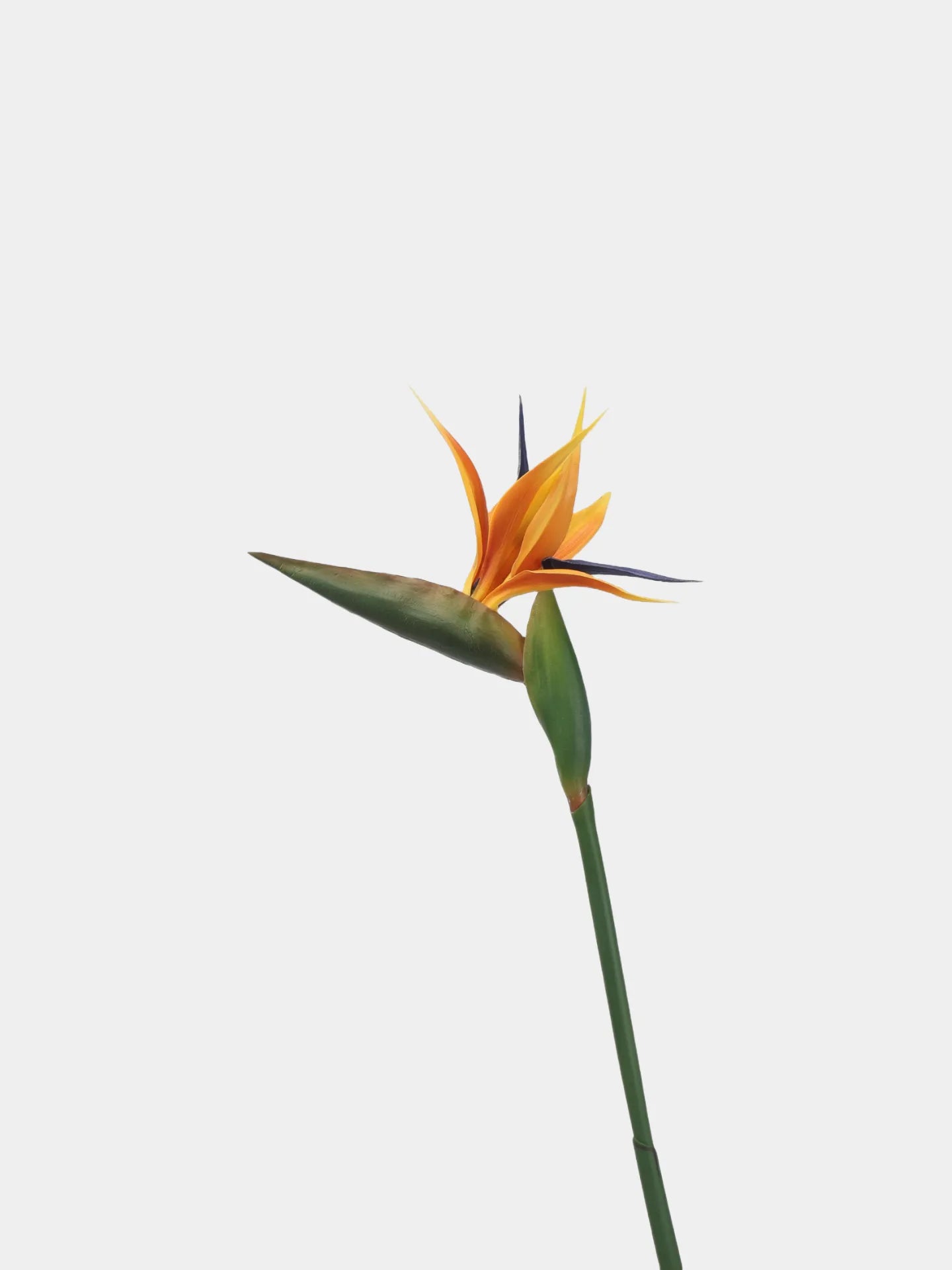 Artificial Bird of Paradise