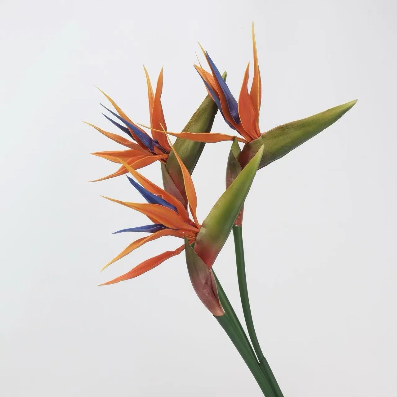 Artificial Bird of Paradise