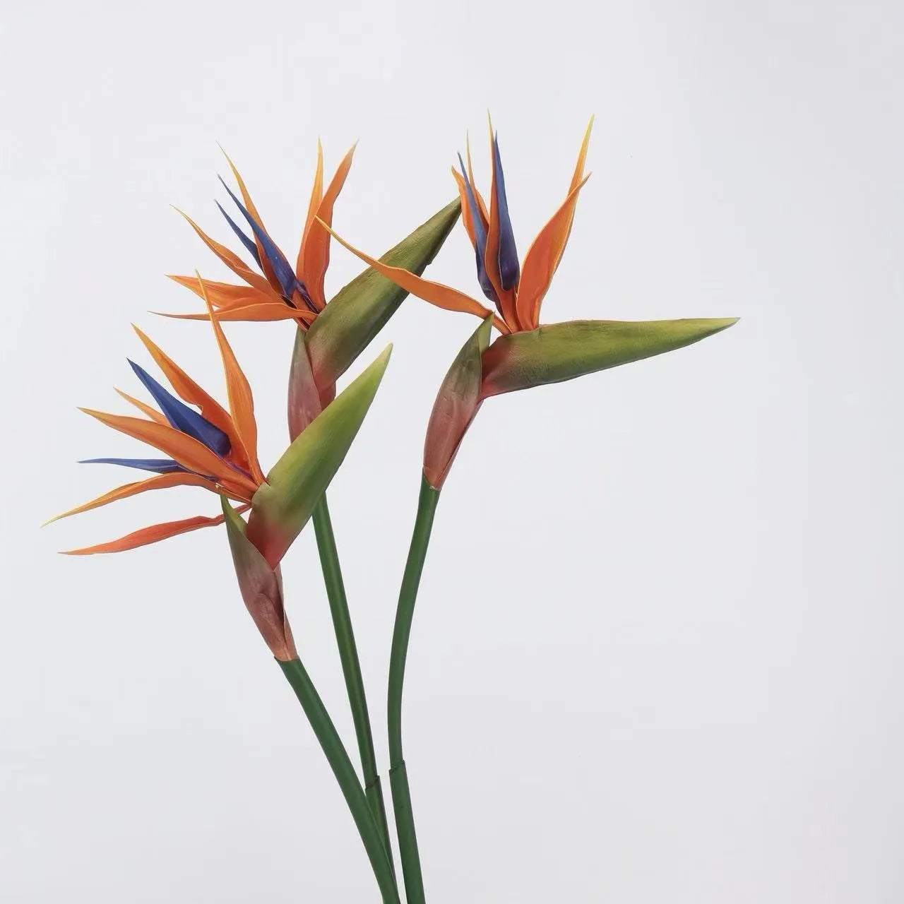 Artificial Bird of Paradise