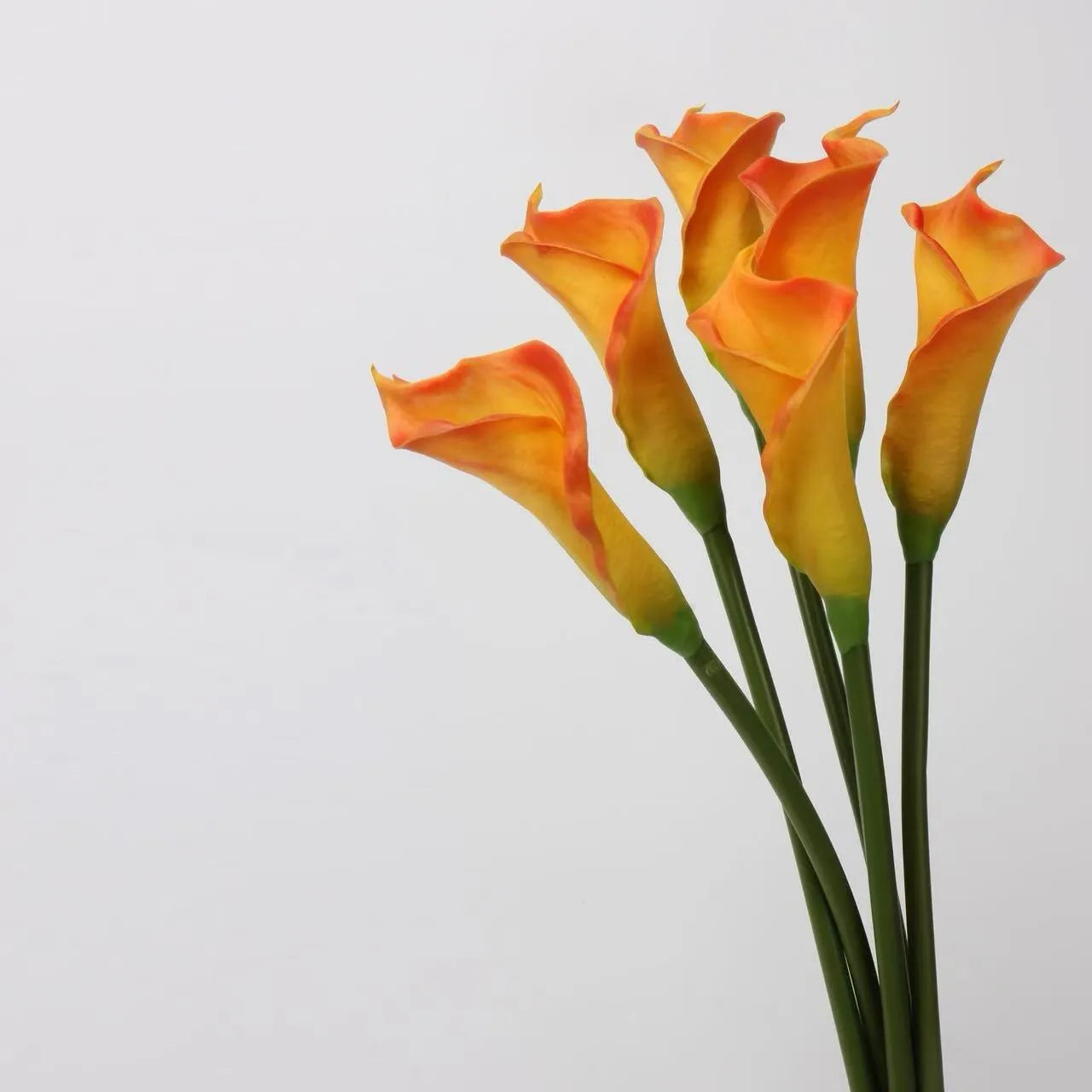 人工カラリリーの茎