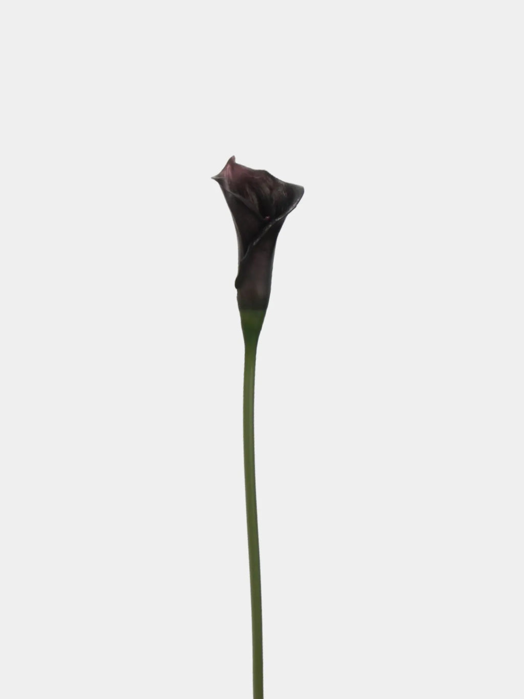 Artificial Calla Lily Stem