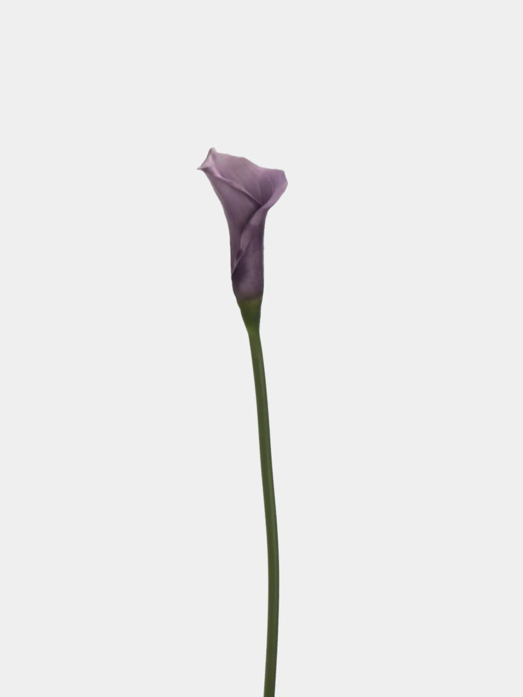 Artificial Calla Lily Stem