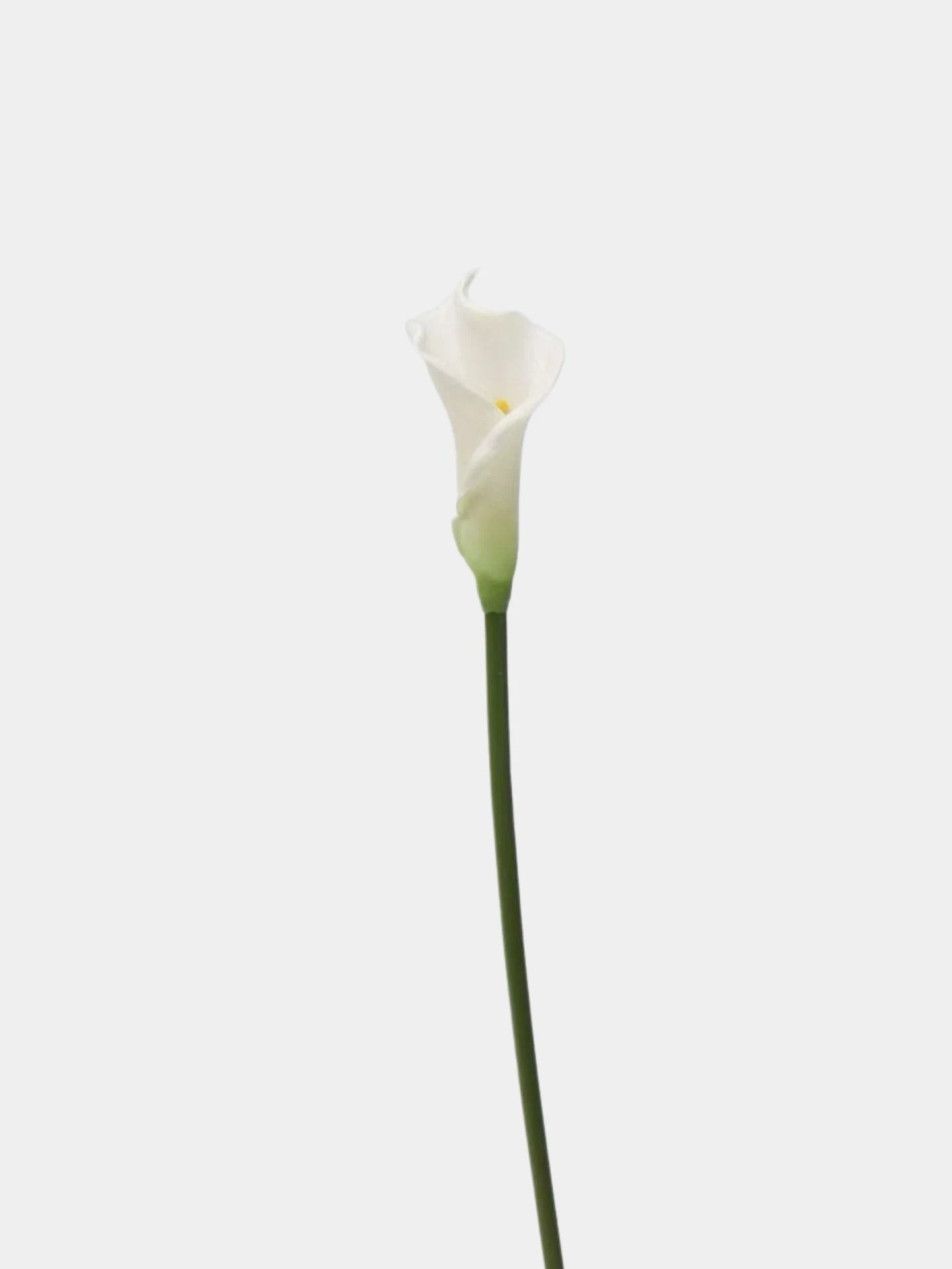 Artificial Calla Lily Stem -24"