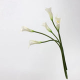 Artificial Calla Lily Stem -24"