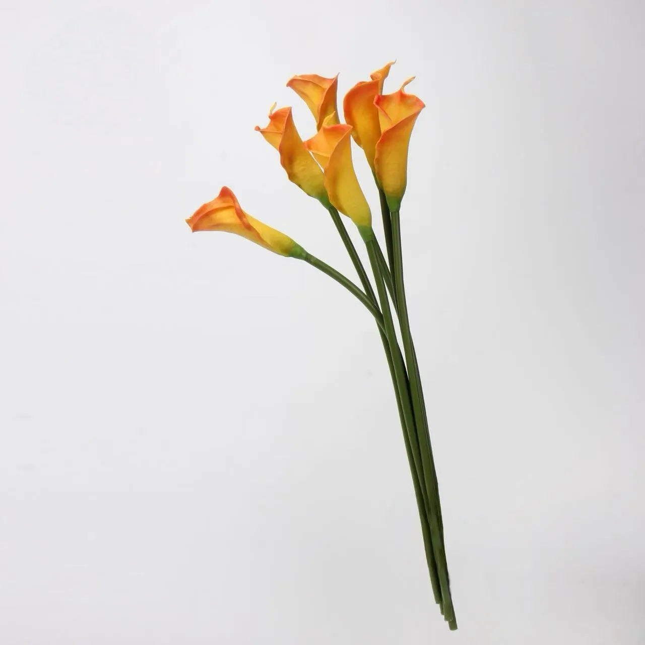 人工カラリリーの茎