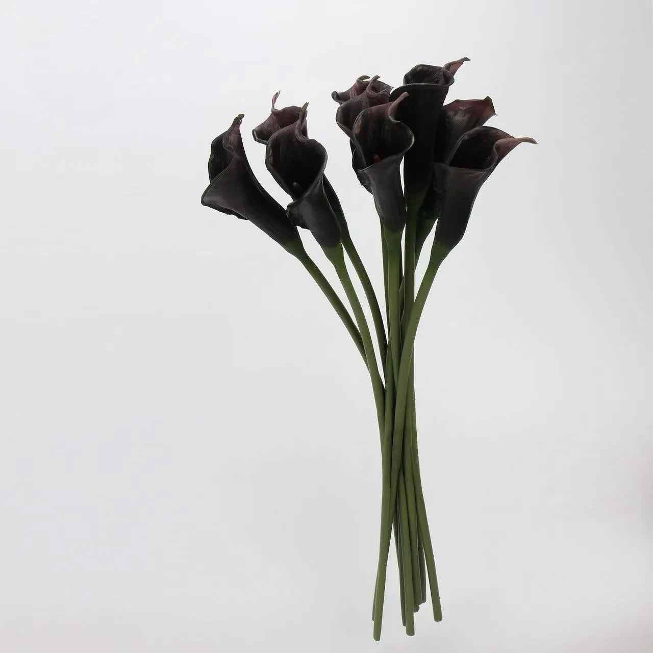 人工カラリリーの茎