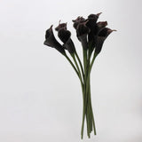 人工カラリリーの茎