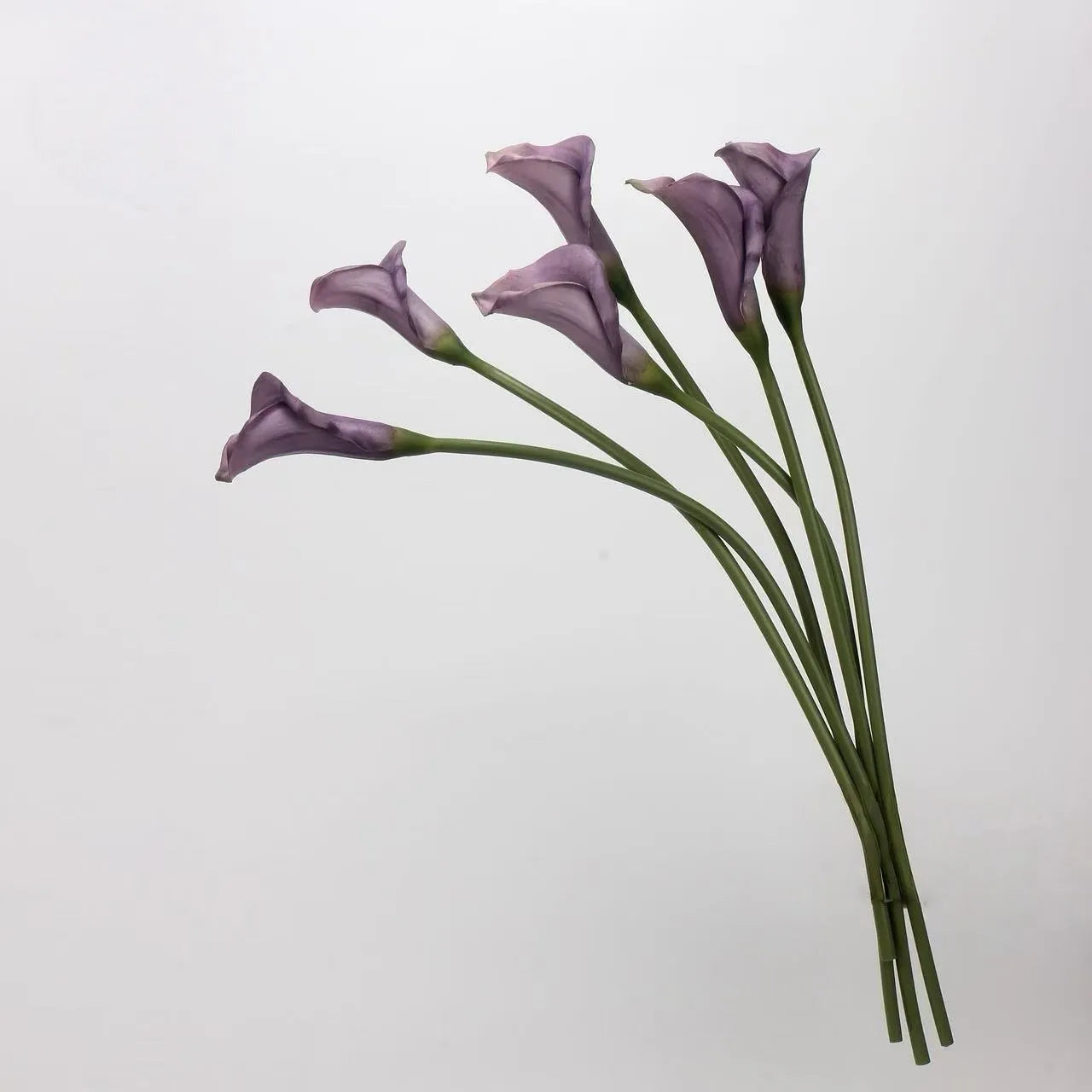 人工カラリリーの茎