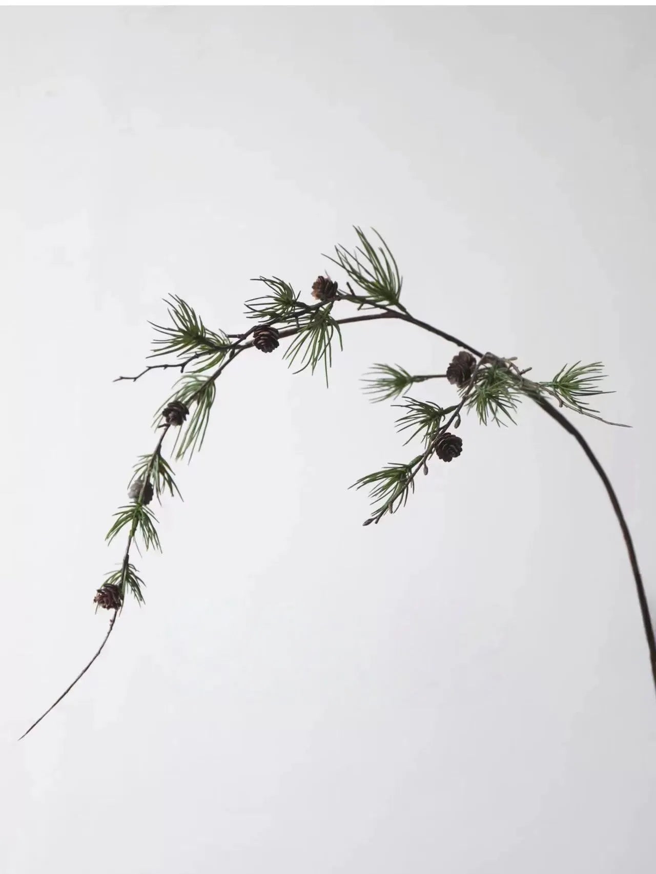 人工杉スプレー — 43"