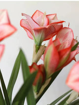 Artificial Clivia Miniata Flower Stem with Leaves – 58cm