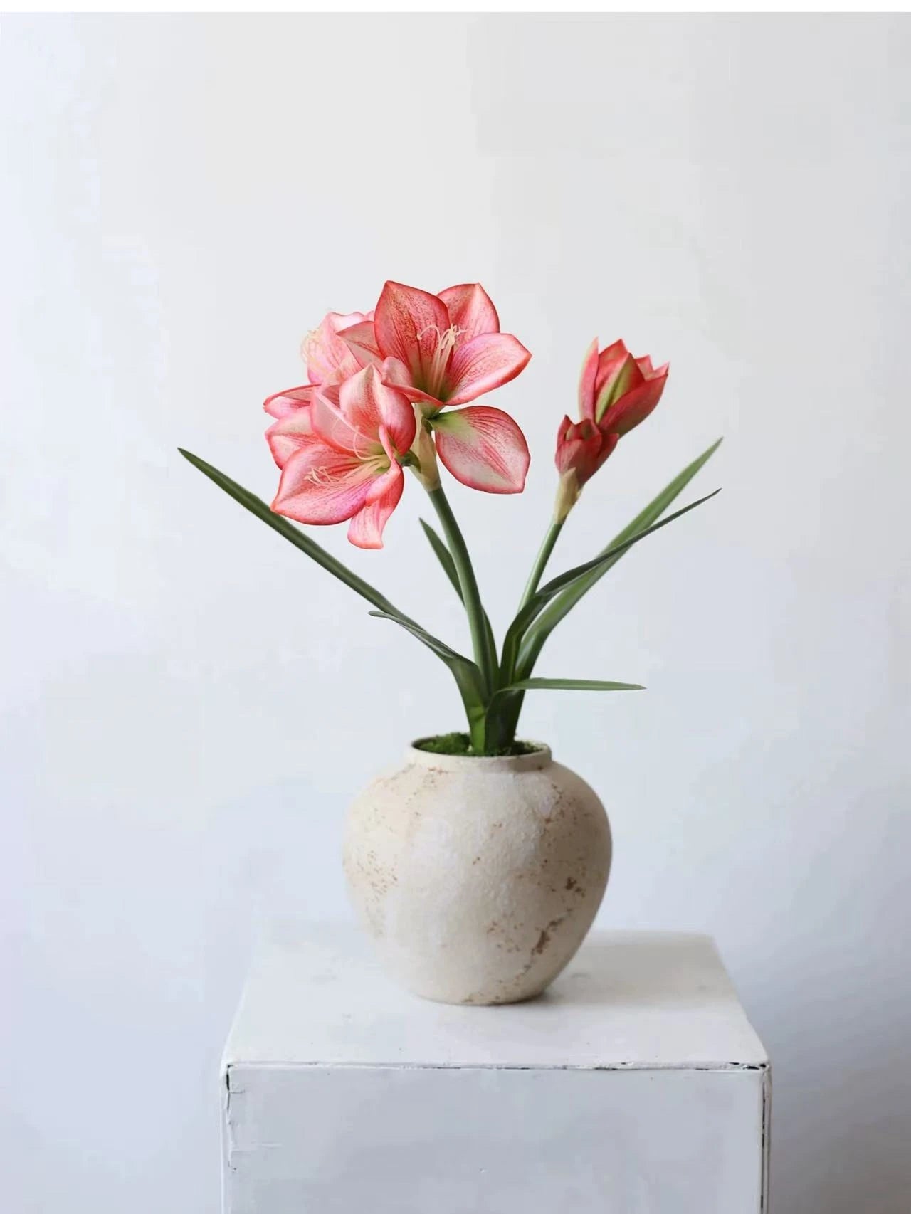 Artificial Clivia Miniata Flower Stem with Leaves – 58cm