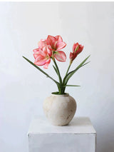 Artificial Clivia Miniata Flower Stem with Leaves – 58cm