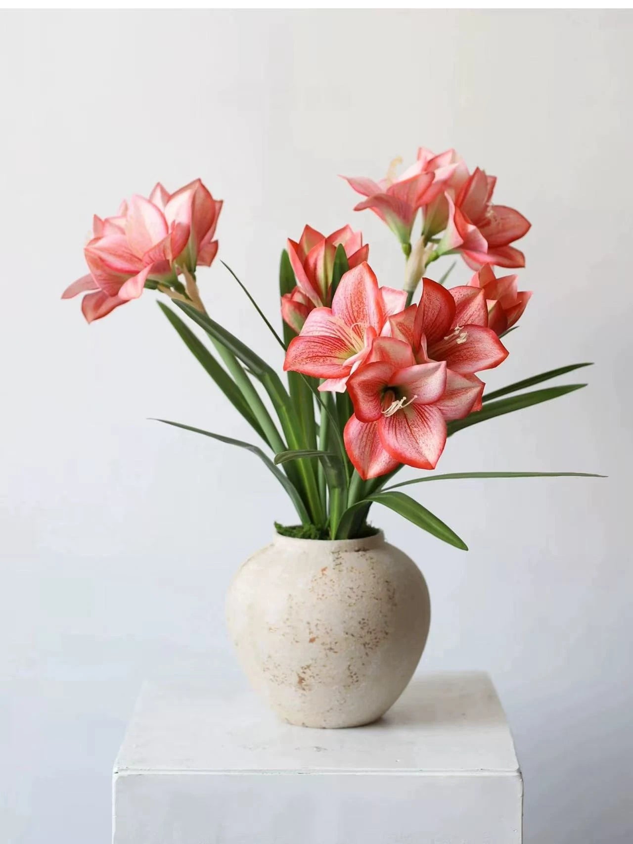 Artificial Clivia Miniata Flower Stem with Leaves – 58cm