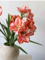 Artificial Clivia Miniata Flower Stem with Leaves – 58cm