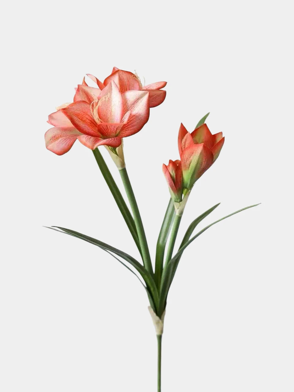 Artificial Clivia Miniata Flower Stem with Leaves – 58cm