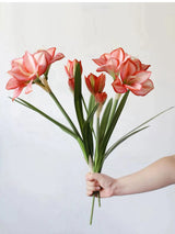 Artificial Clivia Miniata Flower Stem with Leaves – 58cm