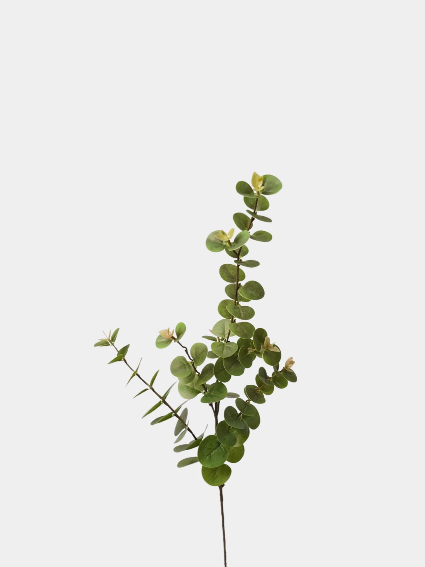 Künstlicher Eukalyptuszweig – 81 cm
