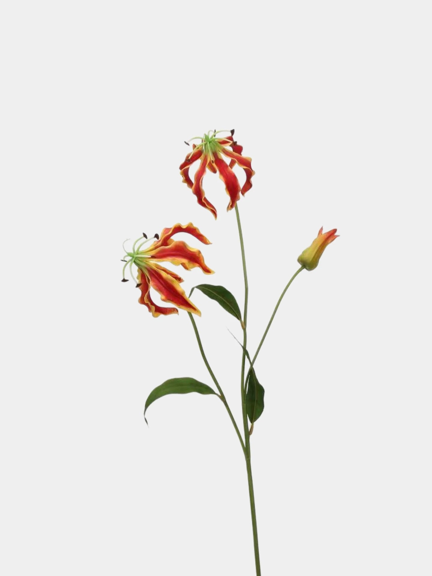 Artificial Flame Lily/ Gloriosa Lily Stem –29.5"