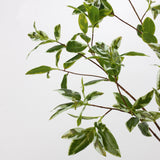 Künstlicher Grünstamm – 89 cm