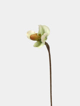 Artificial Lady's Slipper Orchid Stem in Light Green–  20"