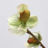 Artificial Lady's Slipper Orchid Stem in Light Green–  20"