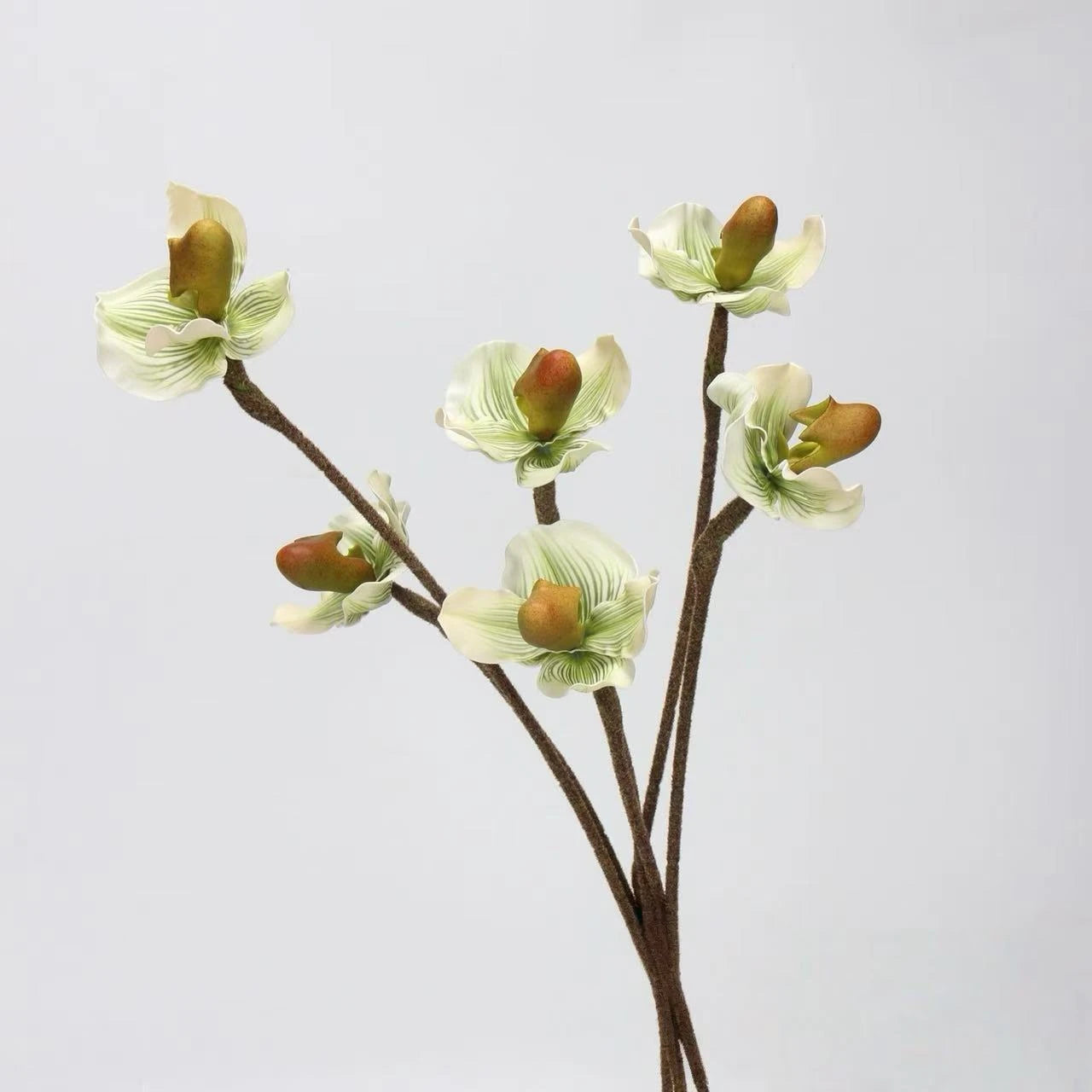 Artificial Lady's Slipper Orchid Stem in Light Green–  20"