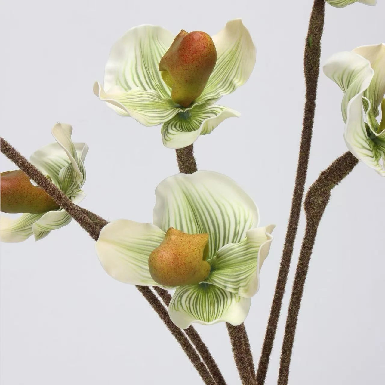 Artificial Lady's Slipper Orchid Stem in Light Green–  20"