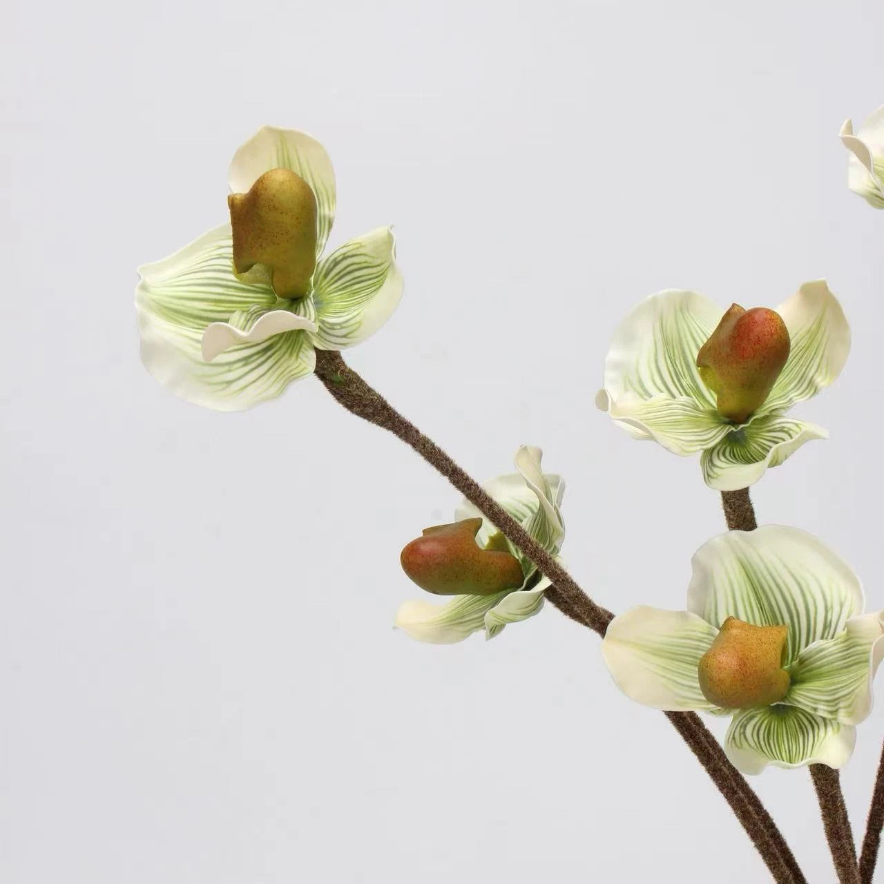 Artificial Lady's Slipper Orchid Stem in Light Green–  20"