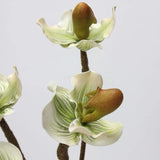 Artificial Lady's Slipper Orchid Stem in Light Green–  20"