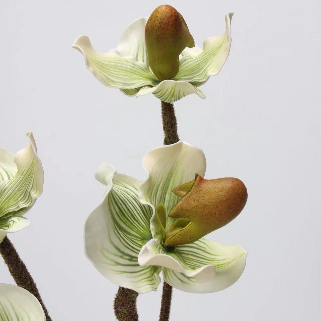 Artificial Lady's Slipper Orchid Stem in Light Green–  20"