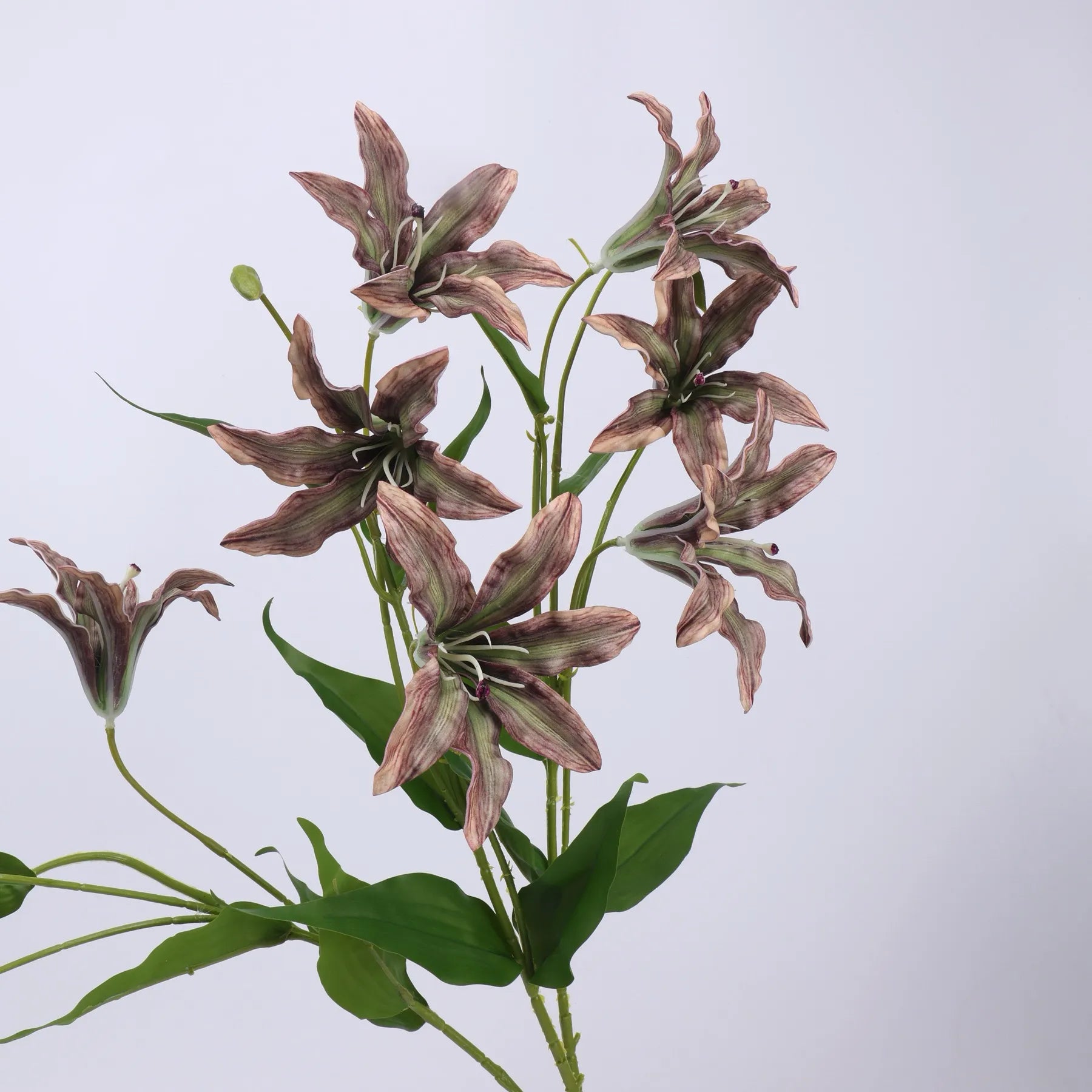 Artificial Lily Flower Branch -Brown