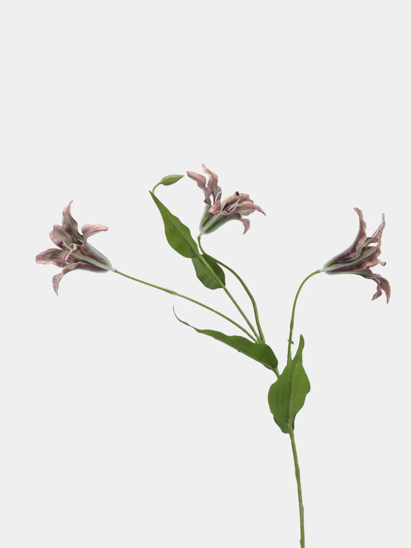 Artificial Lily Flower Branch -Brown
