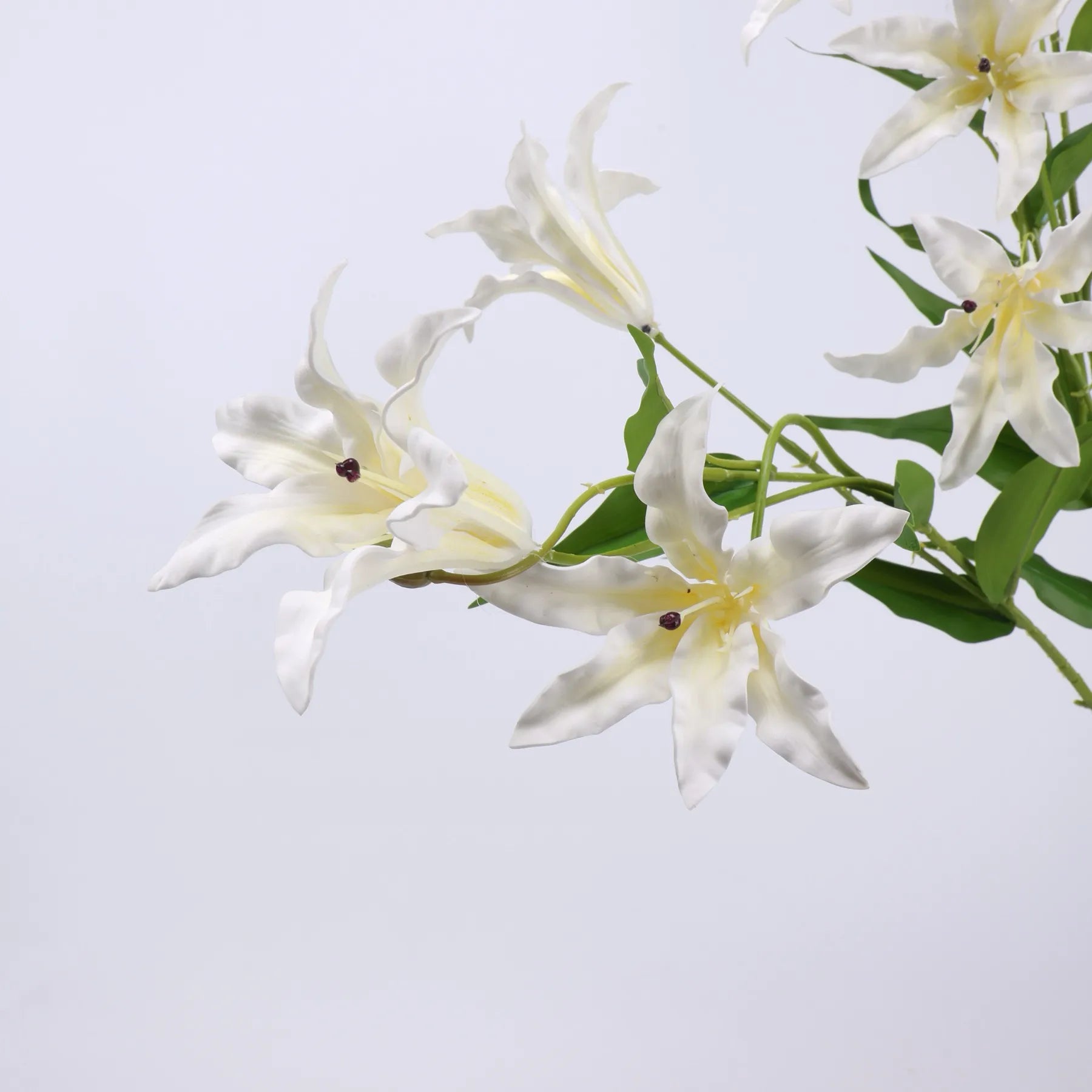 人工ユリの花の枝 - 白