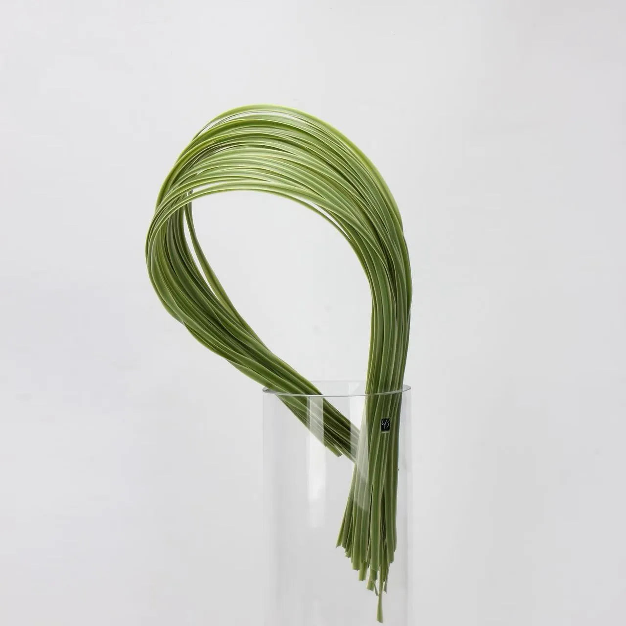 Artificial Line Grass -For Linear Floral Design