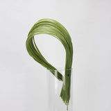 Artificial Line Grass -For Linear Floral Design