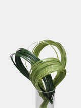 Artificial Line Grass -For Linear Floral Design