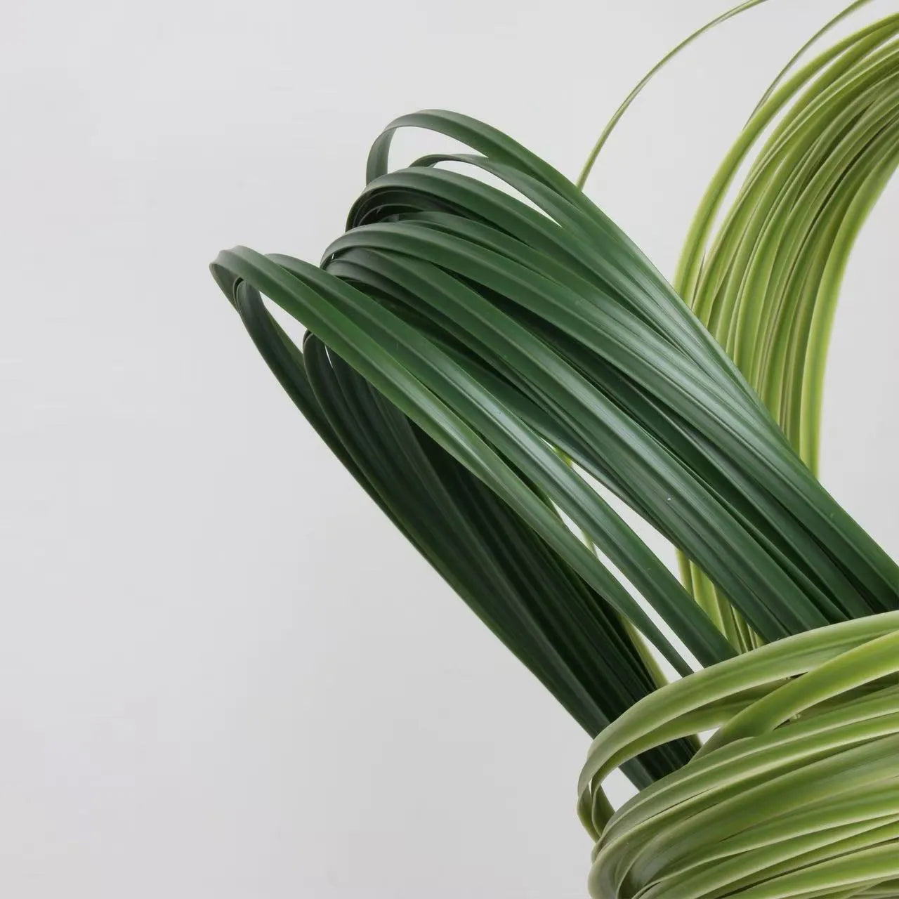 Artificial Line Grass -For Linear Floral Design