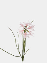 Artificial Lycoris Radiata Stem –21"