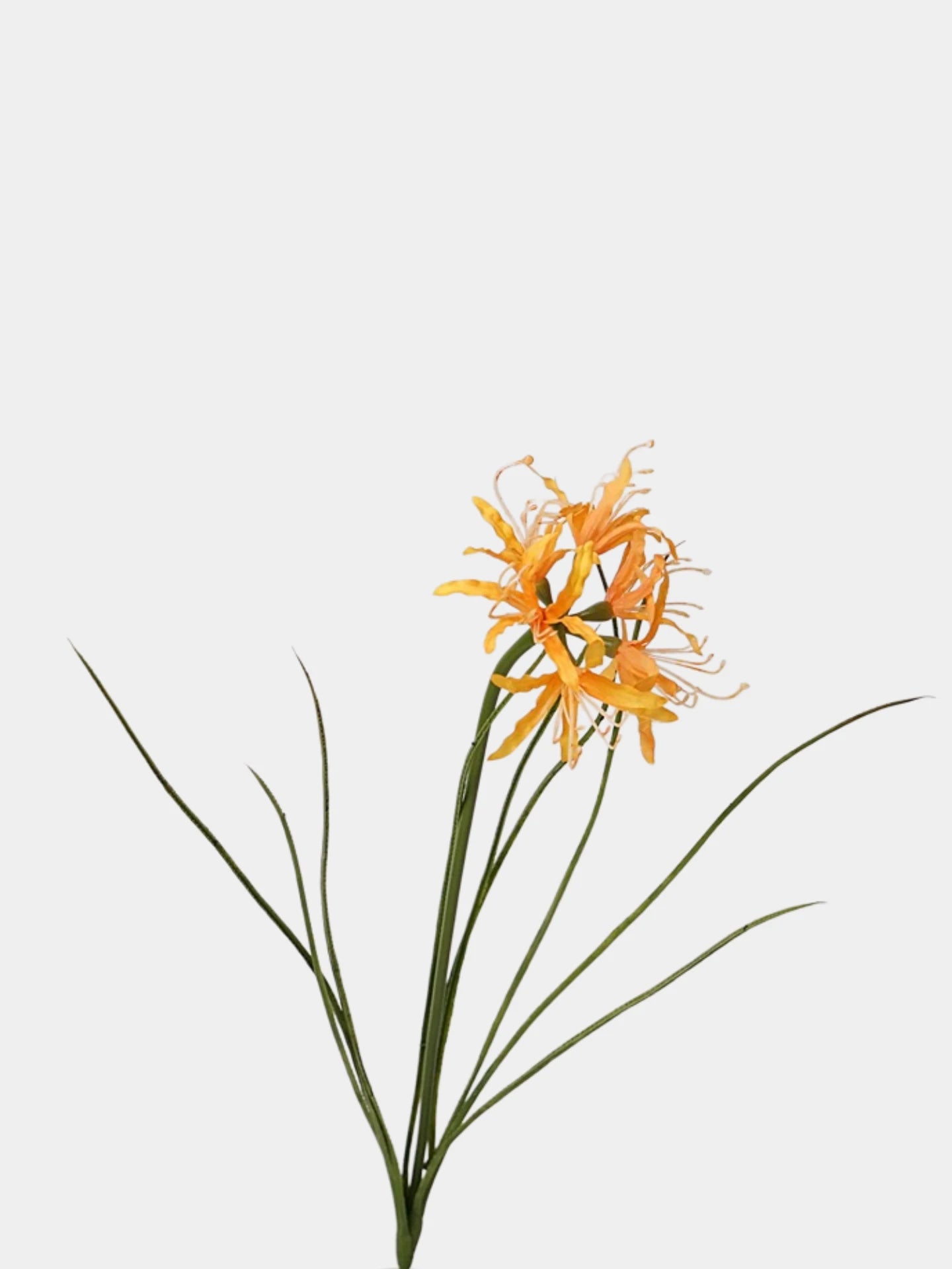 Artificial Lycoris Radiata Stem –21"