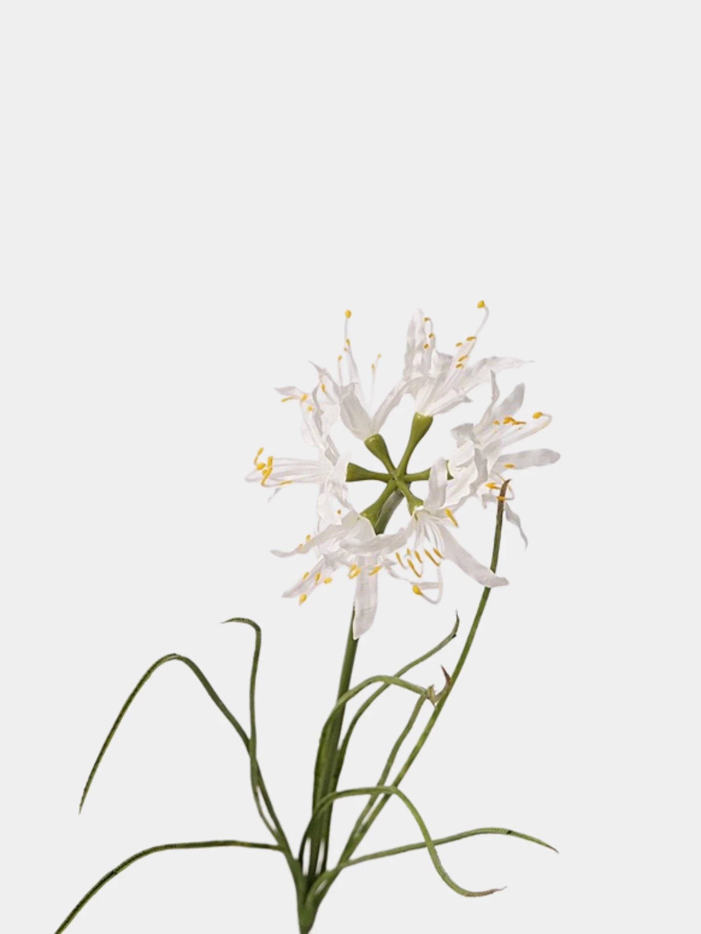 Artificial Lycoris Radiata Stem –21"